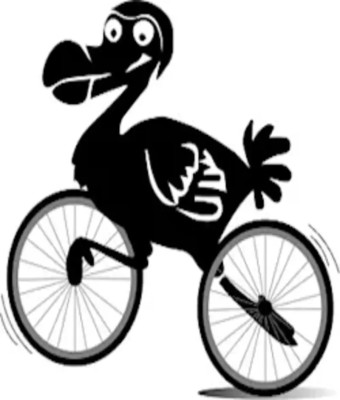 Alquiler de Bicicletas y Patinetes en Valencia