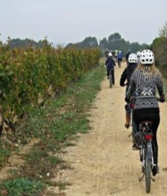 Visita Bodega y cata + ruta en bici en GUARDIOLA DE FONT-RUBÍ