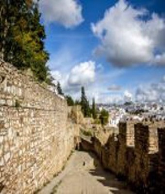 Visita Guiada en Ronda