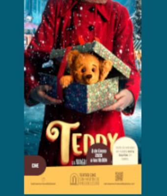 Teddy en SAN MARTÍN DE VALDEIGLESIAS