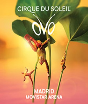 OVO - Madrid