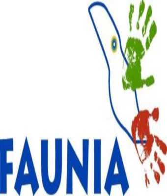 Grupos Faunia en Madrid
