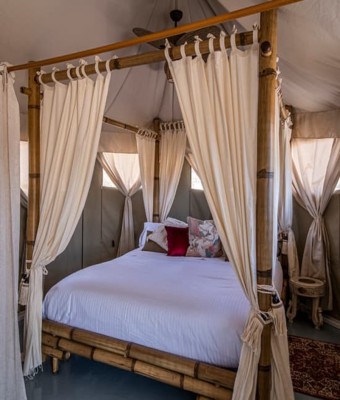 El Toril Glamping Experience: tienda safari, una noche y desayuno en Madrid