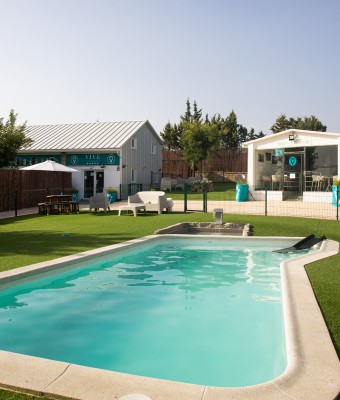 VivePets Piscina Canina  Turno de tarde ESPECIAL -13KG en Madrid