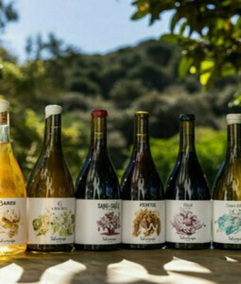Tast de vins Celler Tal Com Raja en Barcelona