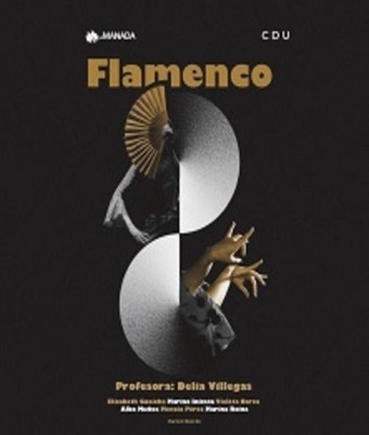 Muestra de Flamenco en USERA