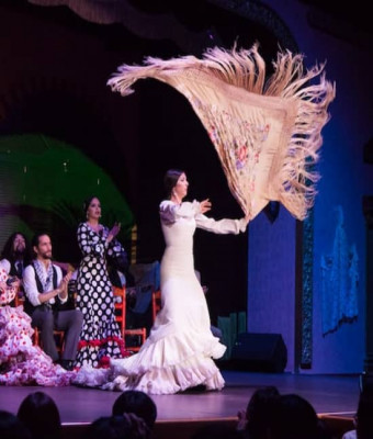 Palacio del Embrujo Sevilla: Espectáculo Flamenco en Seville