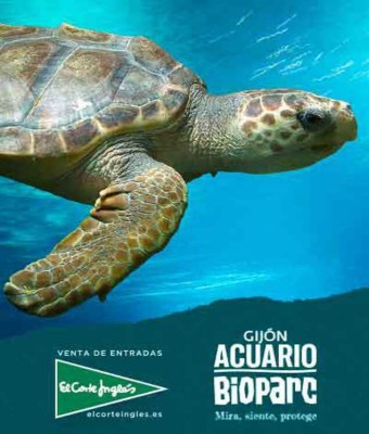 Bioparc Acuario Gijón en Asturias