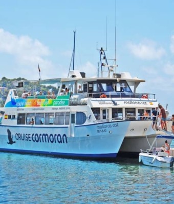 Santa Ponsa: Observación de delfines en barco con fondo de cristal en Majorca