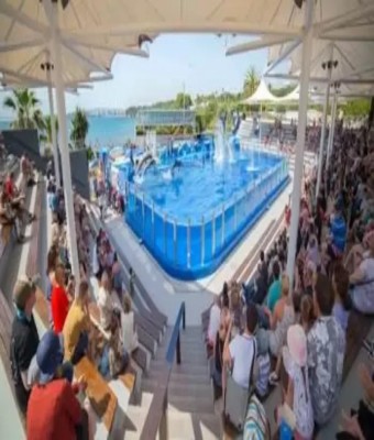 Marineland Mallorca en Islas Baleares