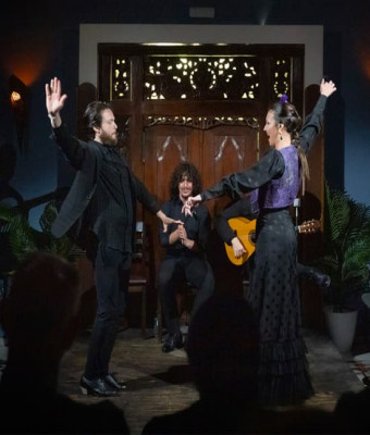 Espectáculo de flamenco íntimo en el corazón de Triana en Seville
