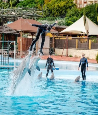 Entradas Selwo Marina en Malaga