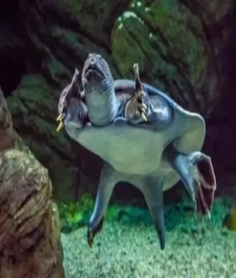 Acuario de Zaragoza