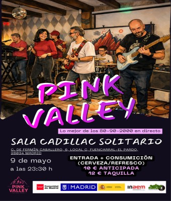 Pink Valley - Tributo 80s-90s-00s en Madrid