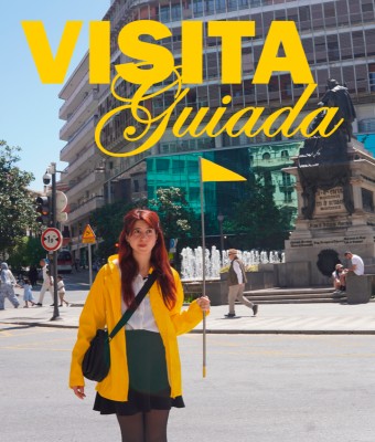 VISITA GUIADA en Granada