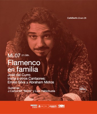 Flamenco en Familia en Madrid