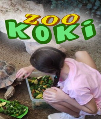 ZOO KOKI - Cuidador por un día en Toledo