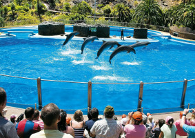 palmitos-park-maspalomas11