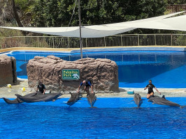 palmitos-park-maspalomas16